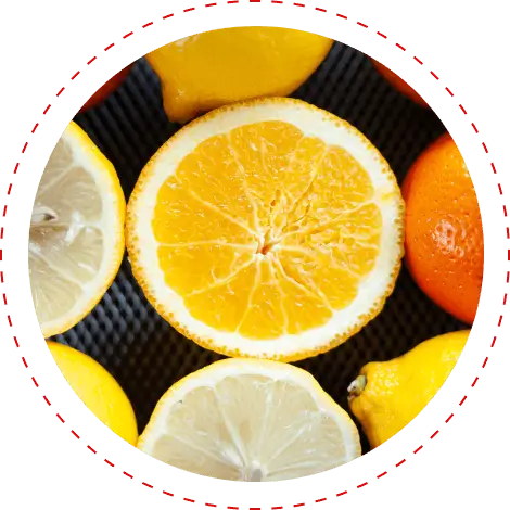 Citrus fruit representing vitamin C